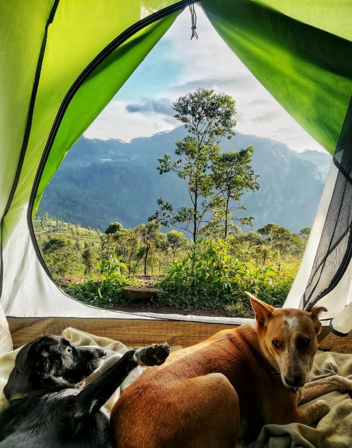 Eco Lodge Haputale-Camping Sri Lanka Экстерьер фото